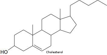 Line stucture of cholesterol
