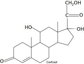 Line structure of cortisol
